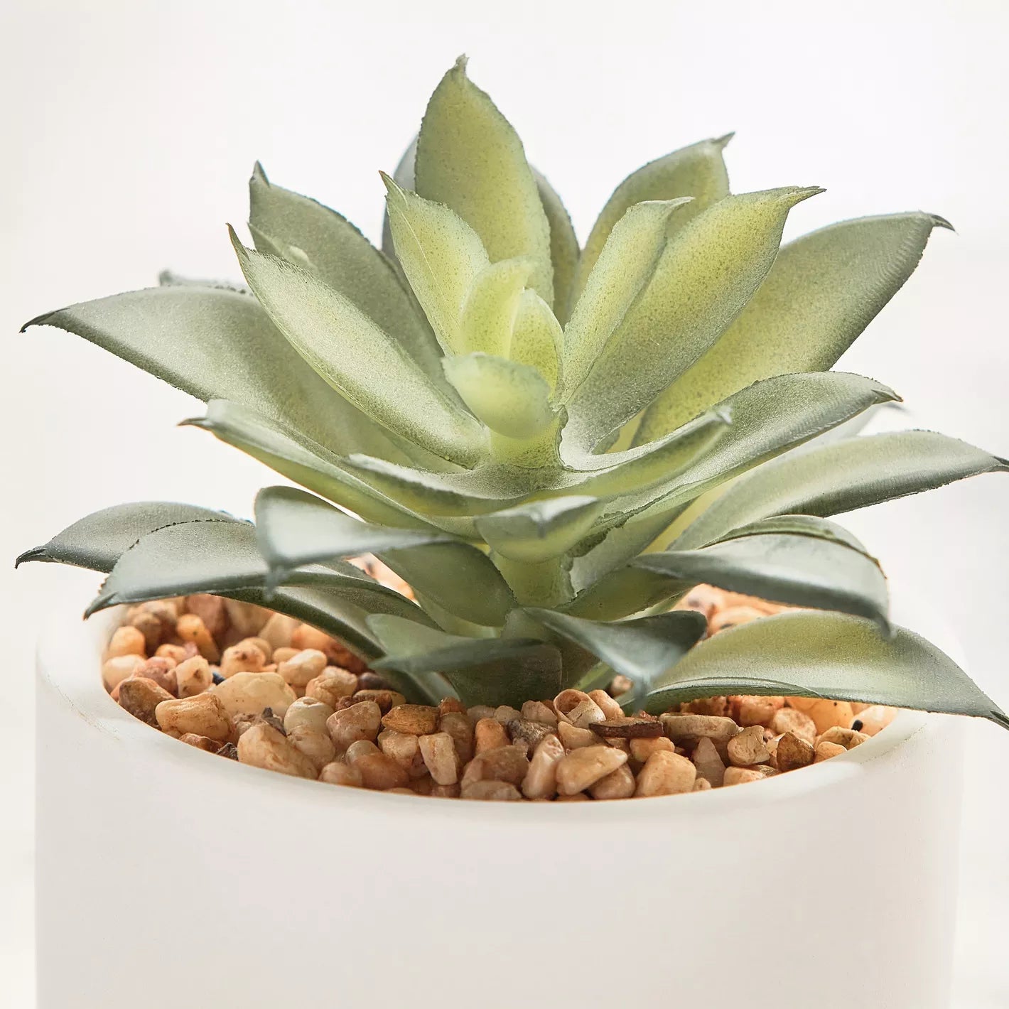 Artificial Decorative Mini Plant