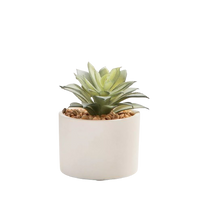 Artificial Decorative Mini Plant