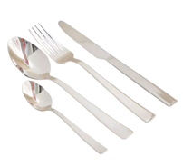 Premium Cutlery Set (16pcs Stainless Steel)