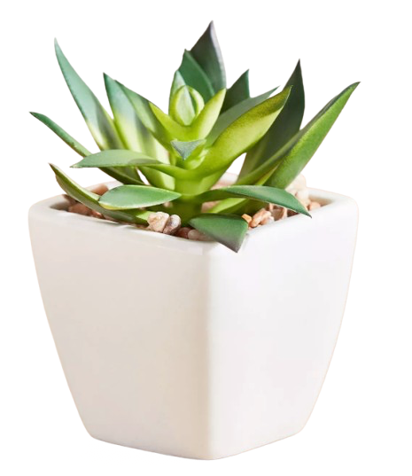 SMALL DECORATIVE PLANT (Shape 2)