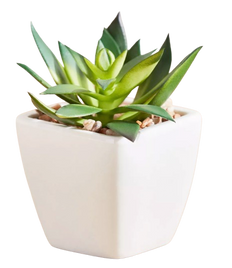 SMALL DECORATIVE PLANT (Shape 2)