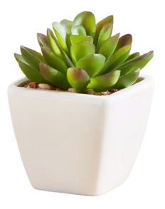SMALL DECORATIVE PLANT (Shape 1)