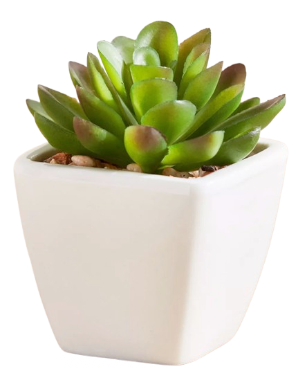 SMALL DECORATIVE PLANT (Shape 1)